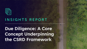 due-diligence-a-core-concept-underpinning-the-csrd-framework-insights-report-featured-image